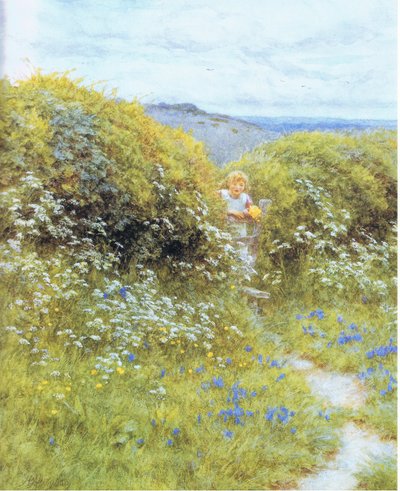 Wiesenkerbel und Glockenblumen von Helen Allingham